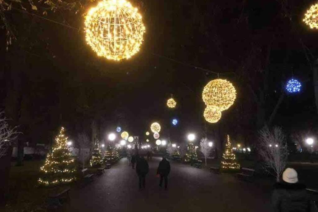 Appartamento Coeur Alsace Colmar Esterno foto