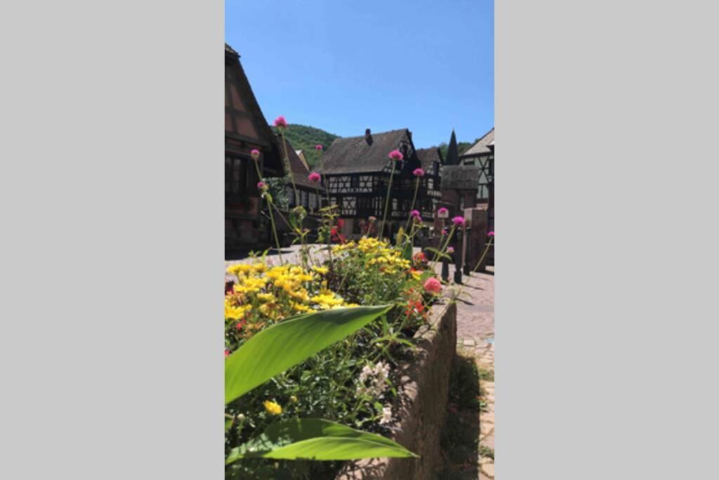Appartamento Coeur Alsace Colmar Esterno foto