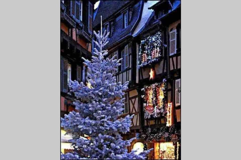 Appartamento Coeur Alsace Colmar Esterno foto