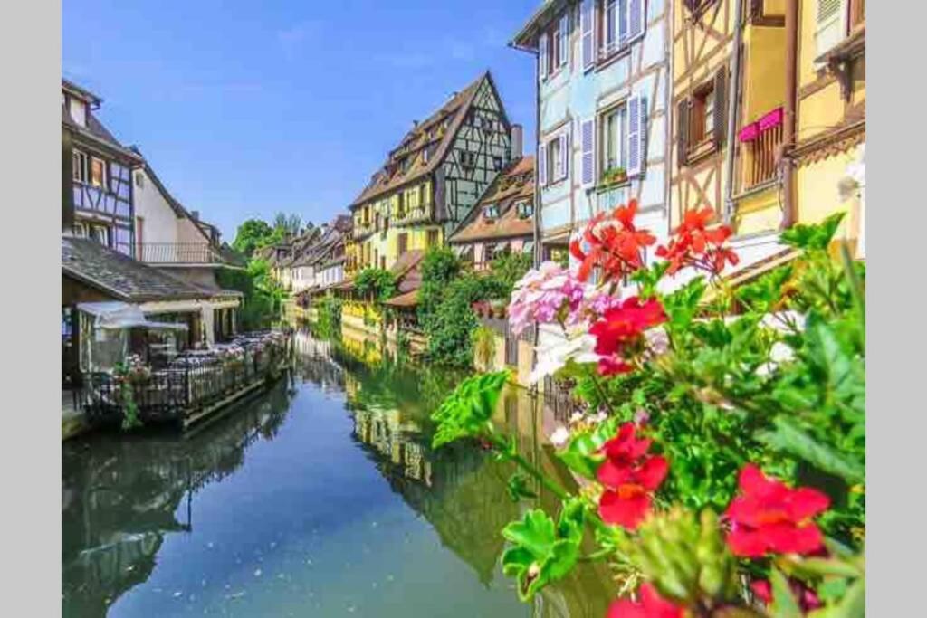 Appartamento Coeur Alsace Colmar Esterno foto