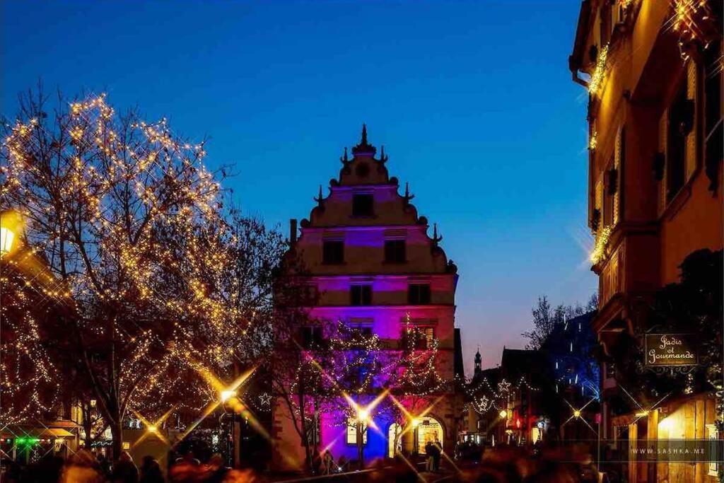 Appartamento Coeur Alsace Colmar Esterno foto