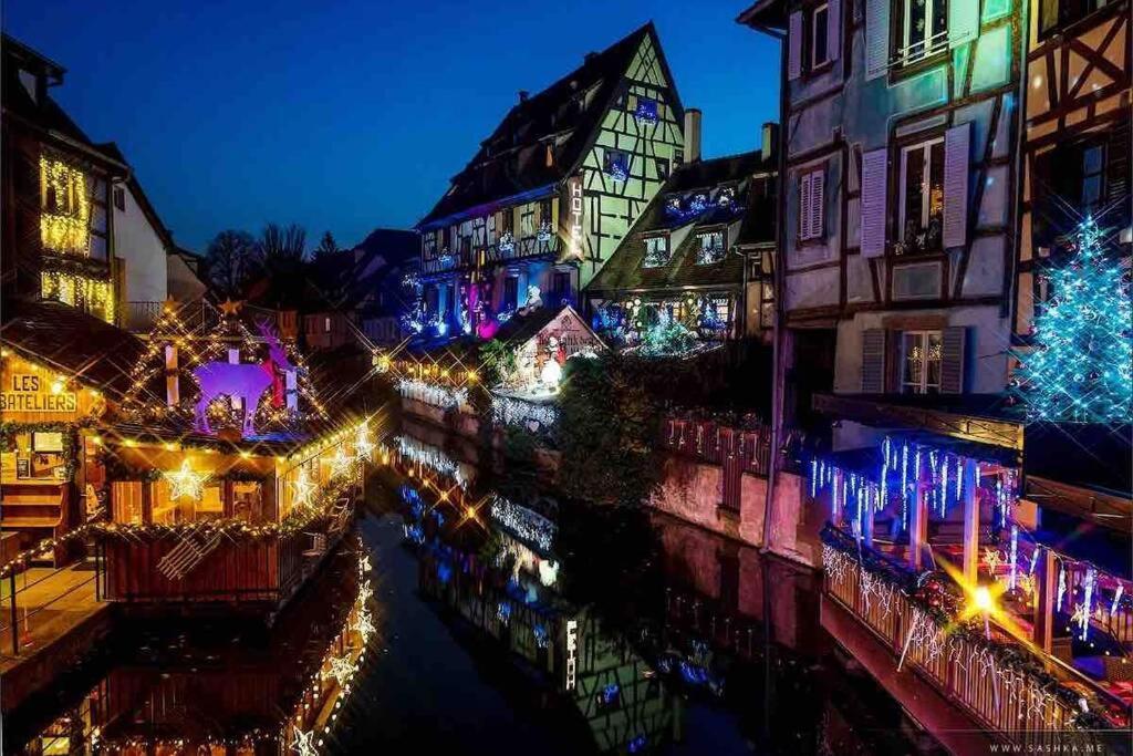 Appartamento Coeur Alsace Colmar Esterno foto