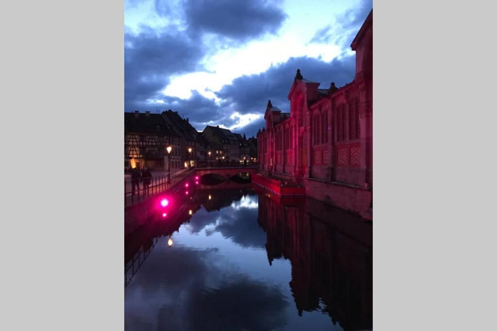 Appartamento Coeur Alsace Colmar Esterno foto
