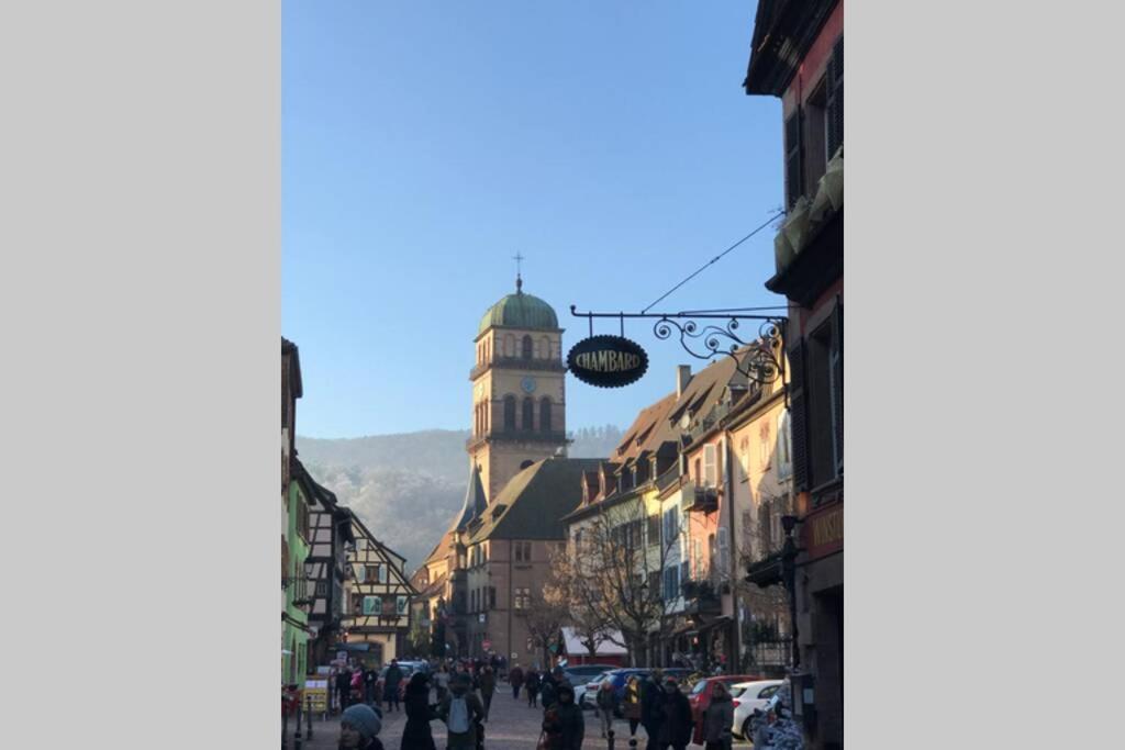 Appartamento Coeur Alsace Colmar Esterno foto