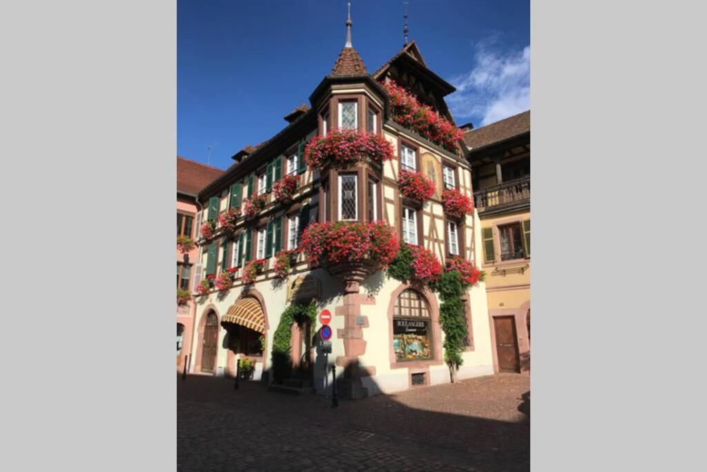 Appartamento Coeur Alsace Colmar Esterno foto