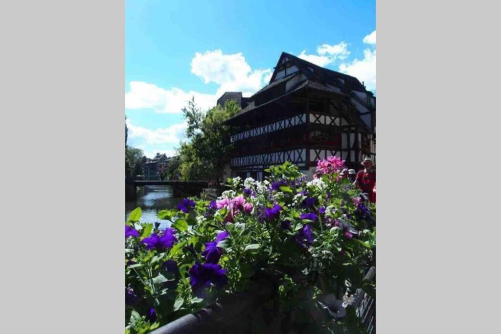 Appartamento Coeur Alsace Colmar Esterno foto