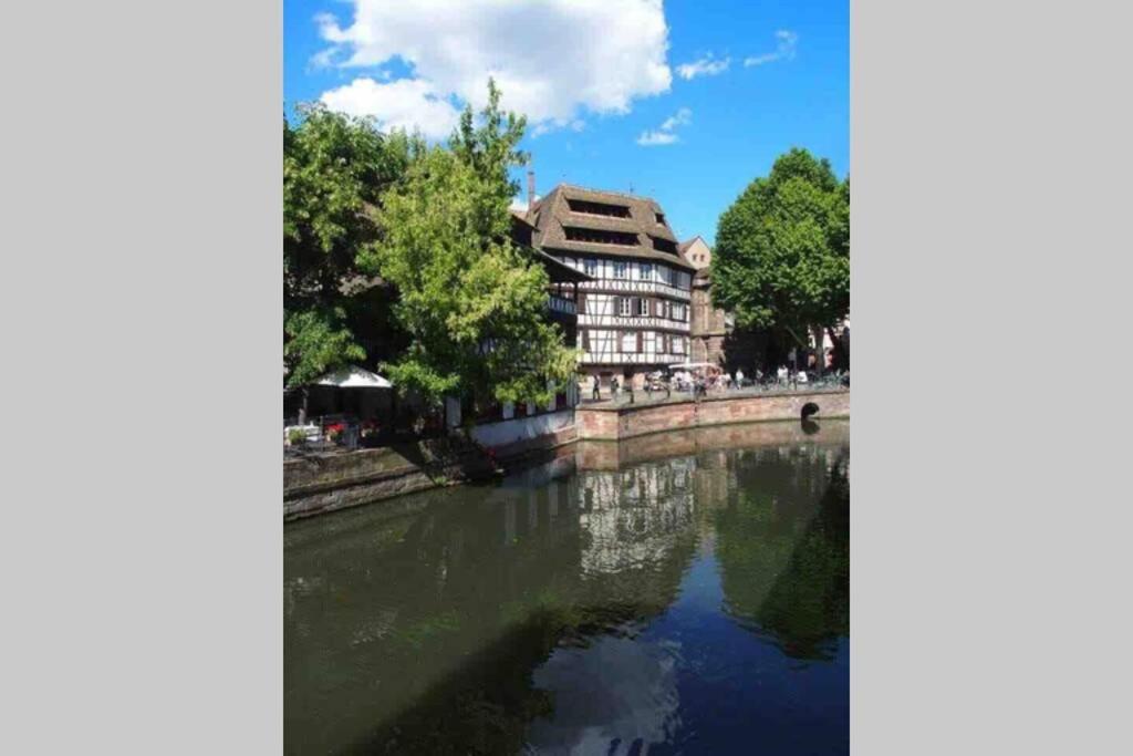 Appartamento Coeur Alsace Colmar Esterno foto