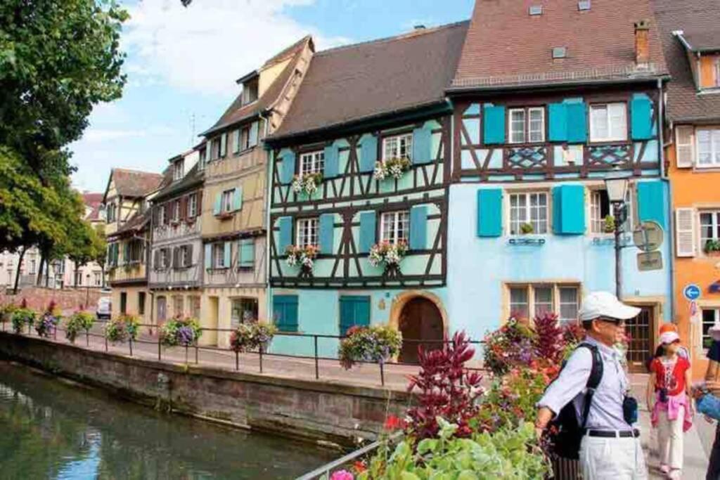 Appartamento Coeur Alsace Colmar Esterno foto