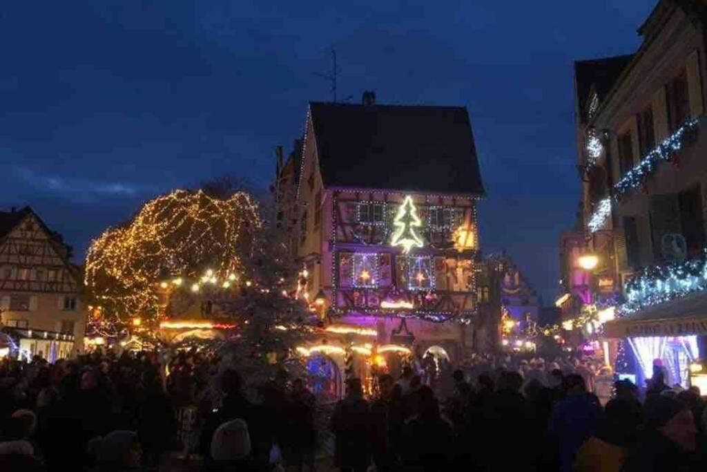 Appartamento Coeur Alsace Colmar Esterno foto