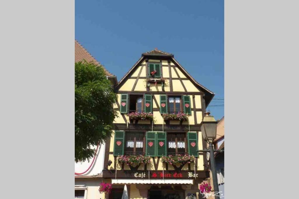 Appartamento Coeur Alsace Colmar Esterno foto