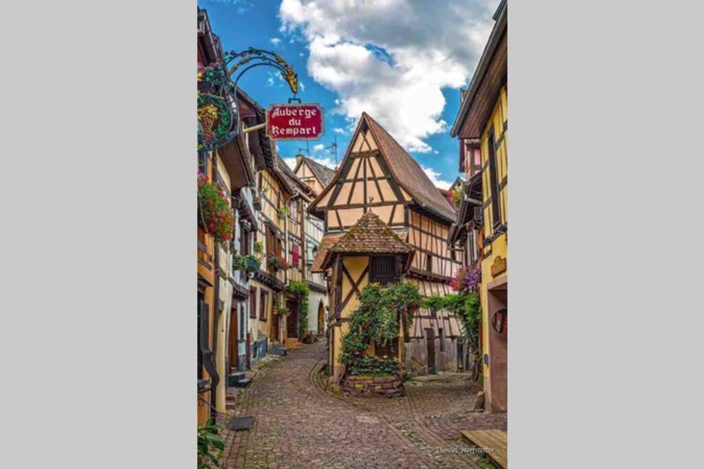 Appartamento Coeur Alsace Colmar Esterno foto