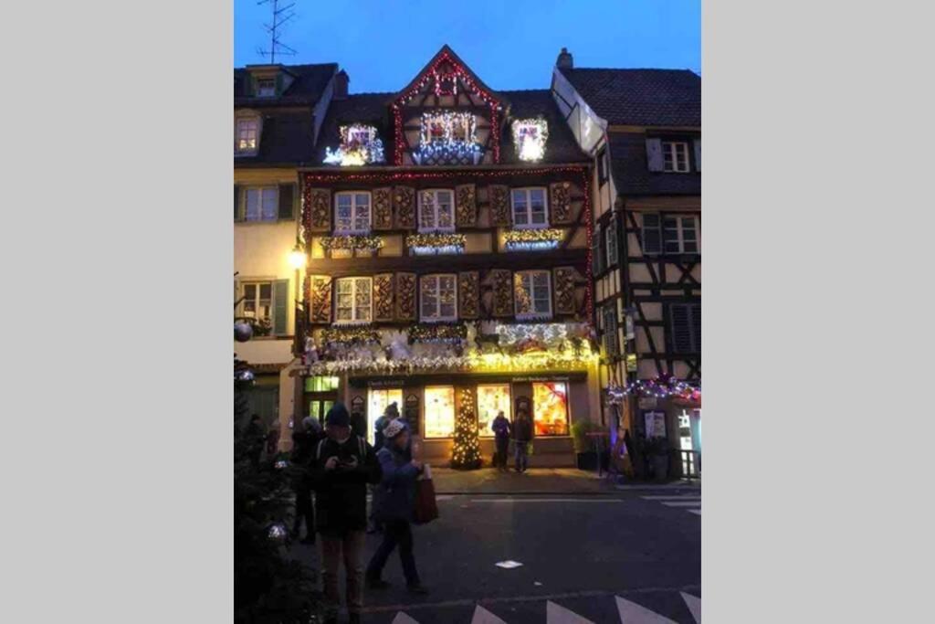 Appartamento Coeur Alsace Colmar Esterno foto
