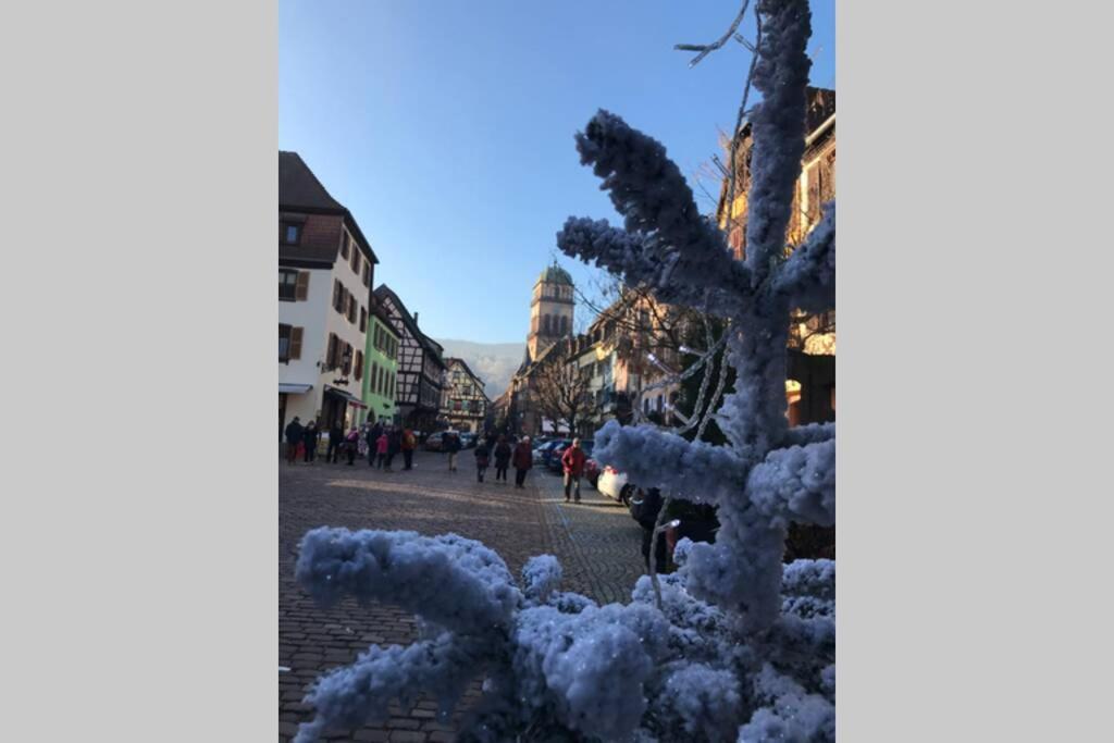 Appartamento Coeur Alsace Colmar Esterno foto