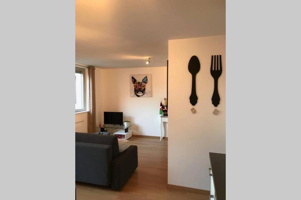 Appartamento Coeur Alsace Colmar Esterno foto