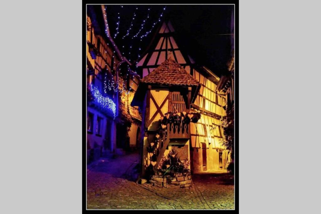 Appartamento Coeur Alsace Colmar Esterno foto