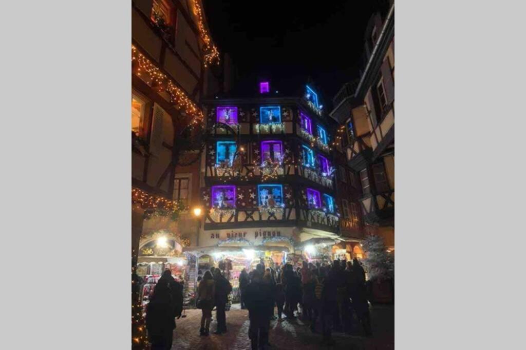 Appartamento Coeur Alsace Colmar Esterno foto