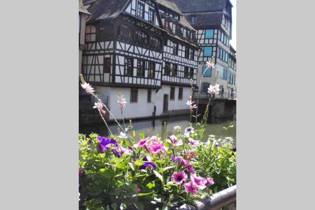 Appartamento Coeur Alsace Colmar Esterno foto
